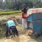 Tips Merawat Mesin Power Thresher agar Tetap Optimal dalam Jangka Panjang